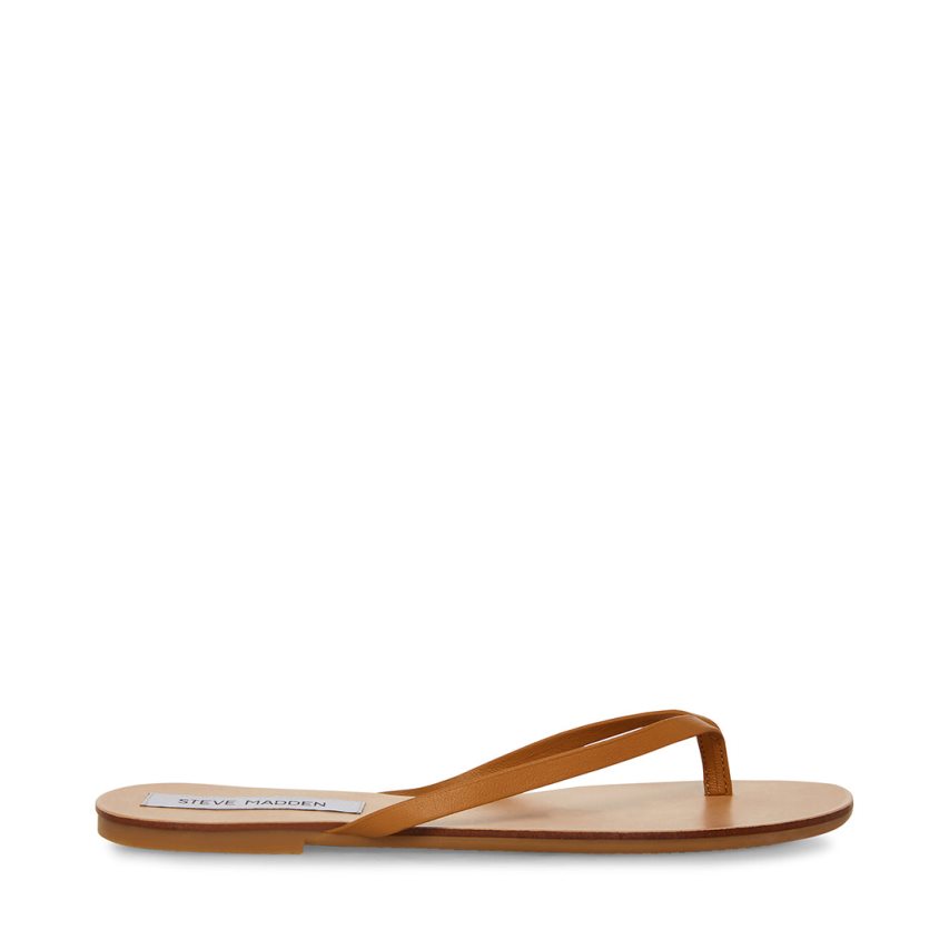 Chanclas Steve Madden Image Cuero Mujer Marrones | ES ZS912S